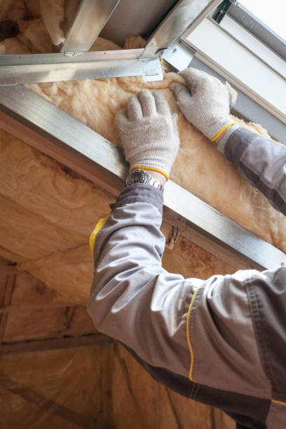 Best Geographic-Specific Insulation Services in Belmond, IA